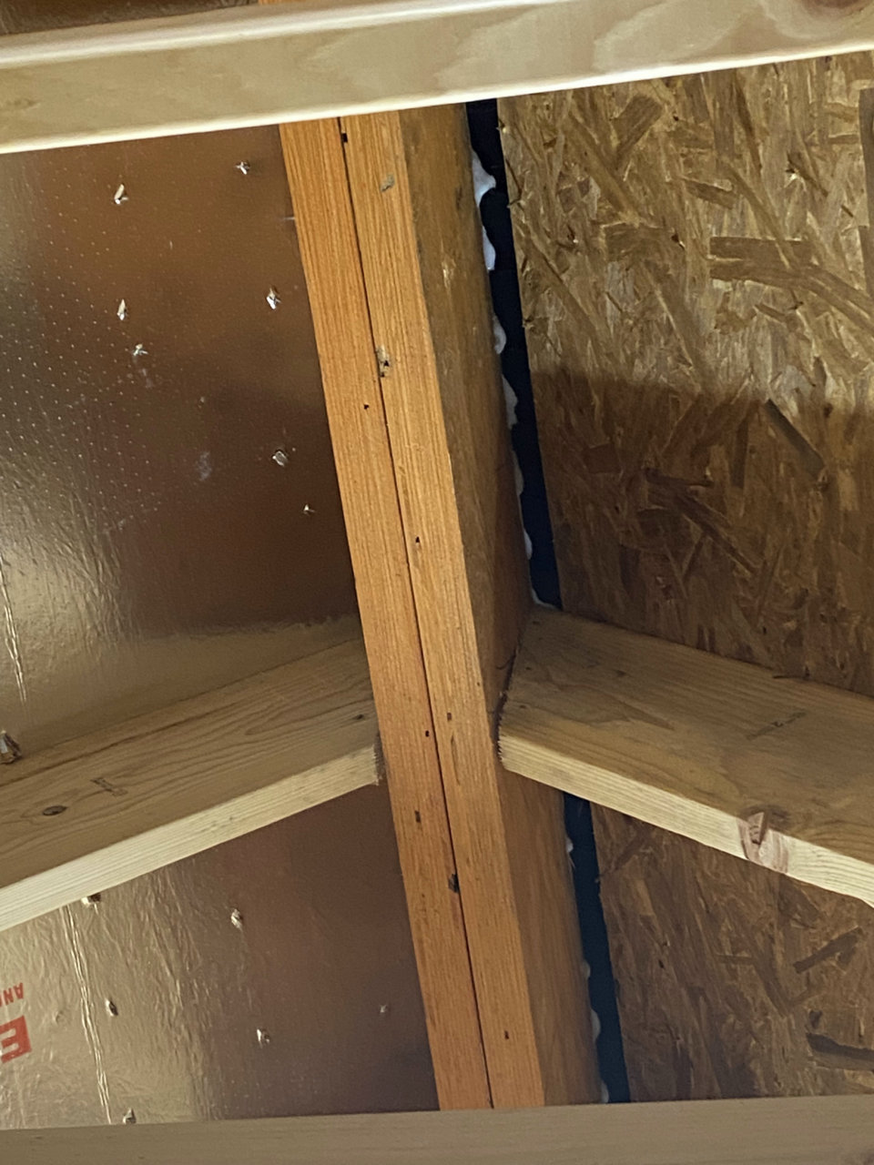 E1033E79-0C0E-430F-BE4B-DF966D9D5E46.jpg