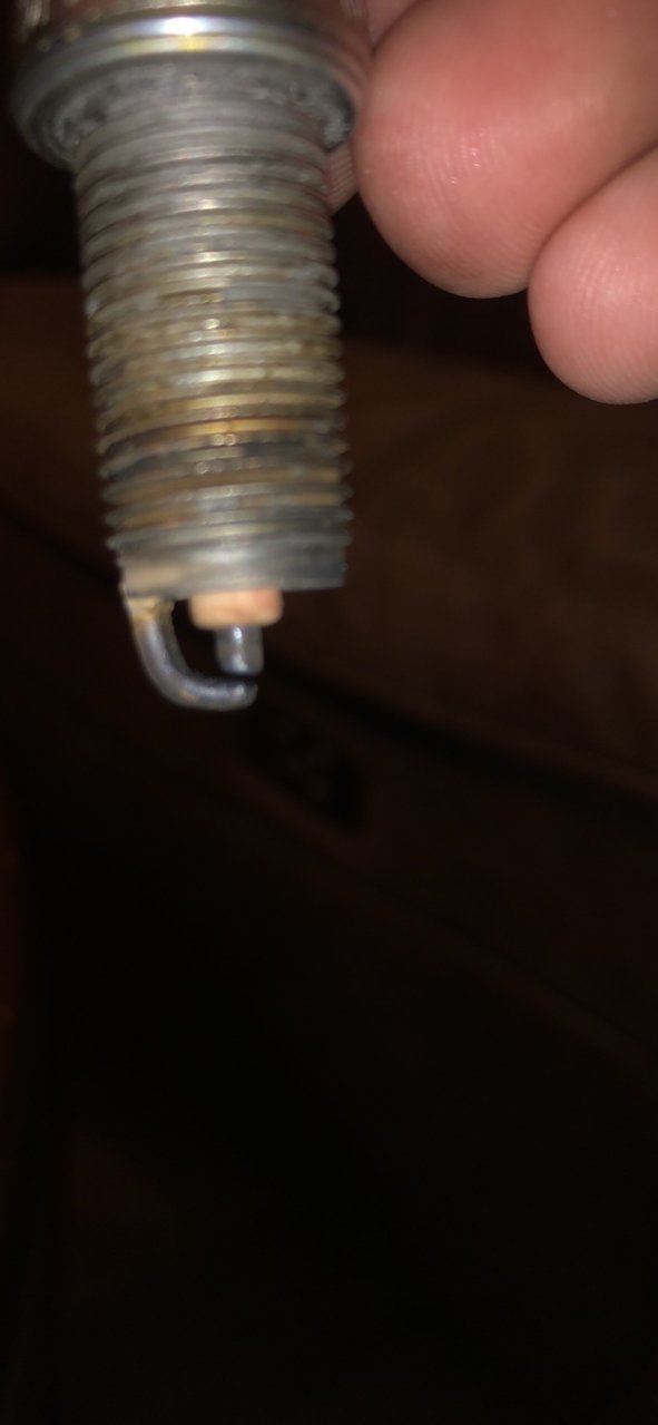 E16135EA-FCCA-431D-AE61-730DC25E1094.jpg