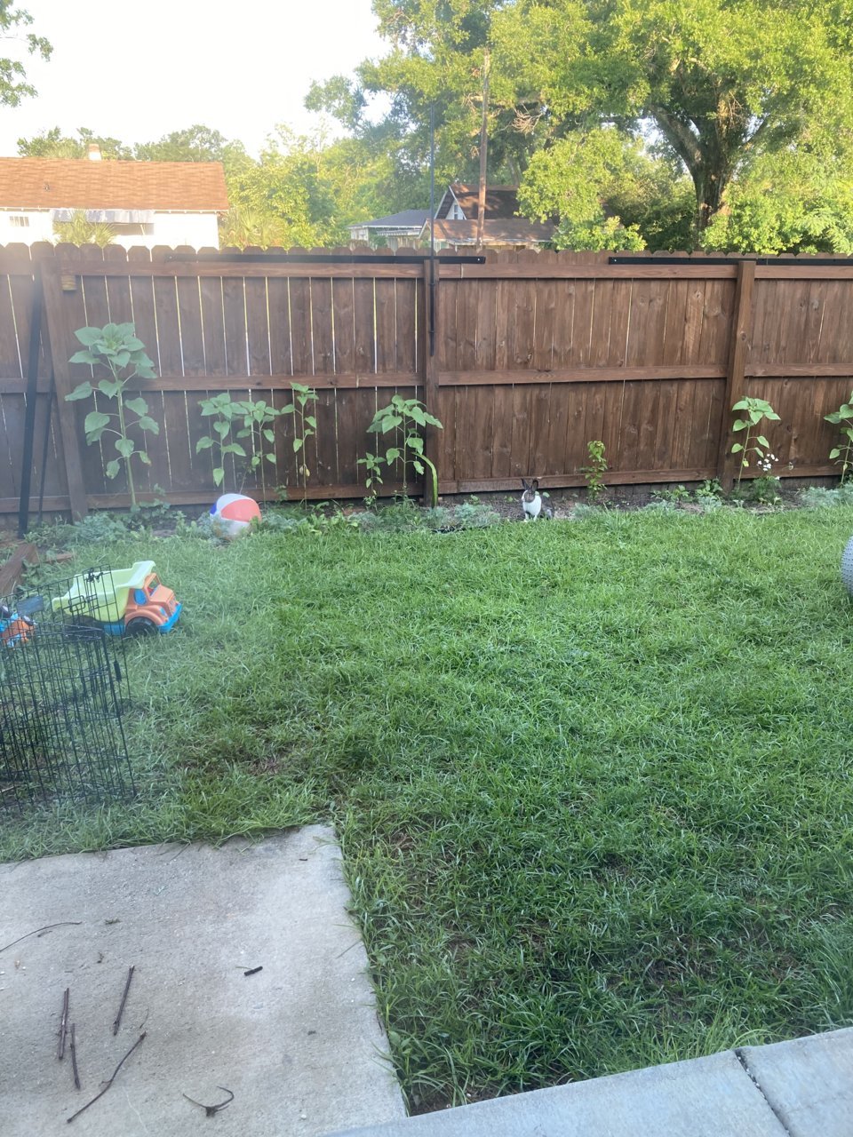 E171AE03-2642-47CE-A1DD-D19C3EB1B4D6.jpg