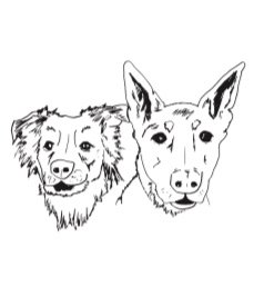 E19D0B15-0905-4E34-9DF2-4463D6F66539.jpg