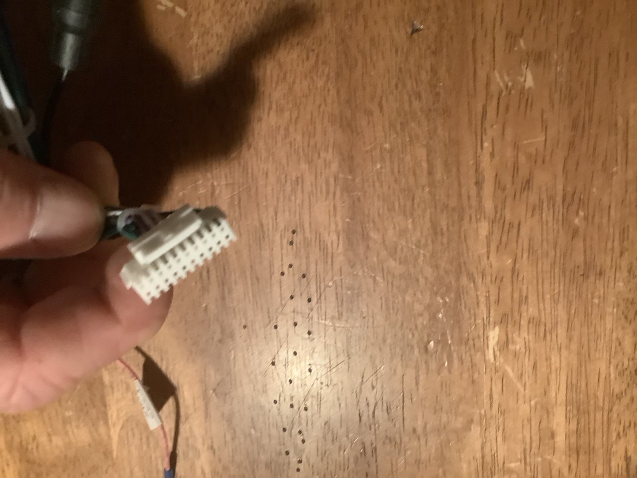 E1B99D63-4444-438E-B54B-730B47E63528.jpg