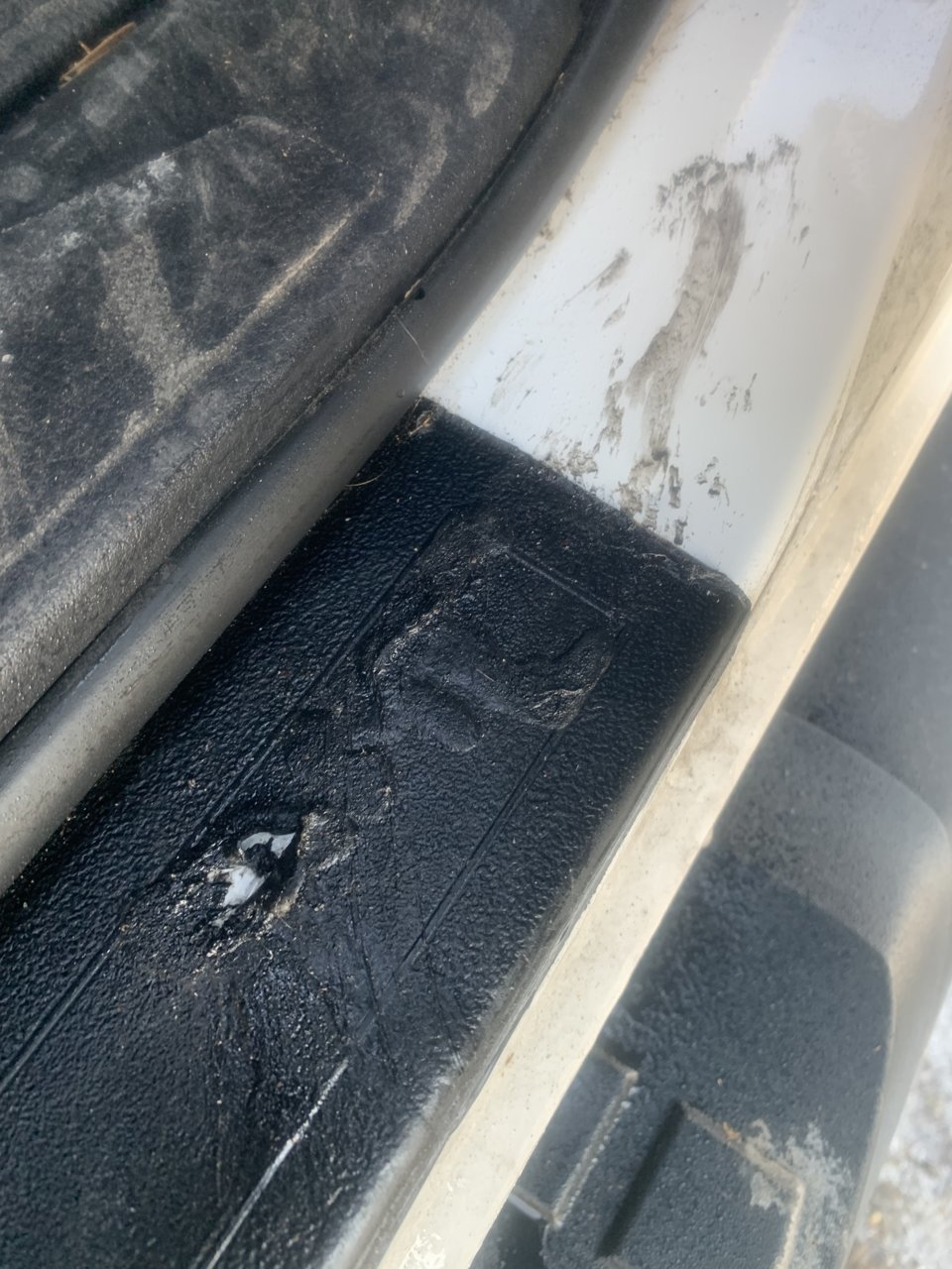 Bug spray dissolved my door panel. | Tacoma World