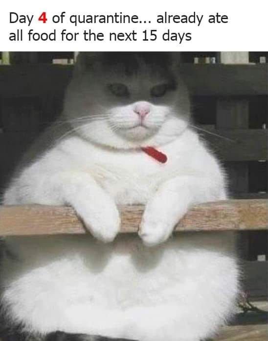 e1e14b7f65a58eb66248f0273699d0ce.jpg