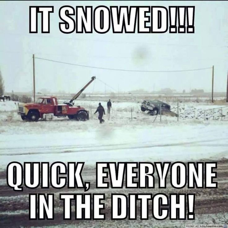 e22766274a69d836a19bfeb0c1b107e2--first-snow-funny-humor.jpg