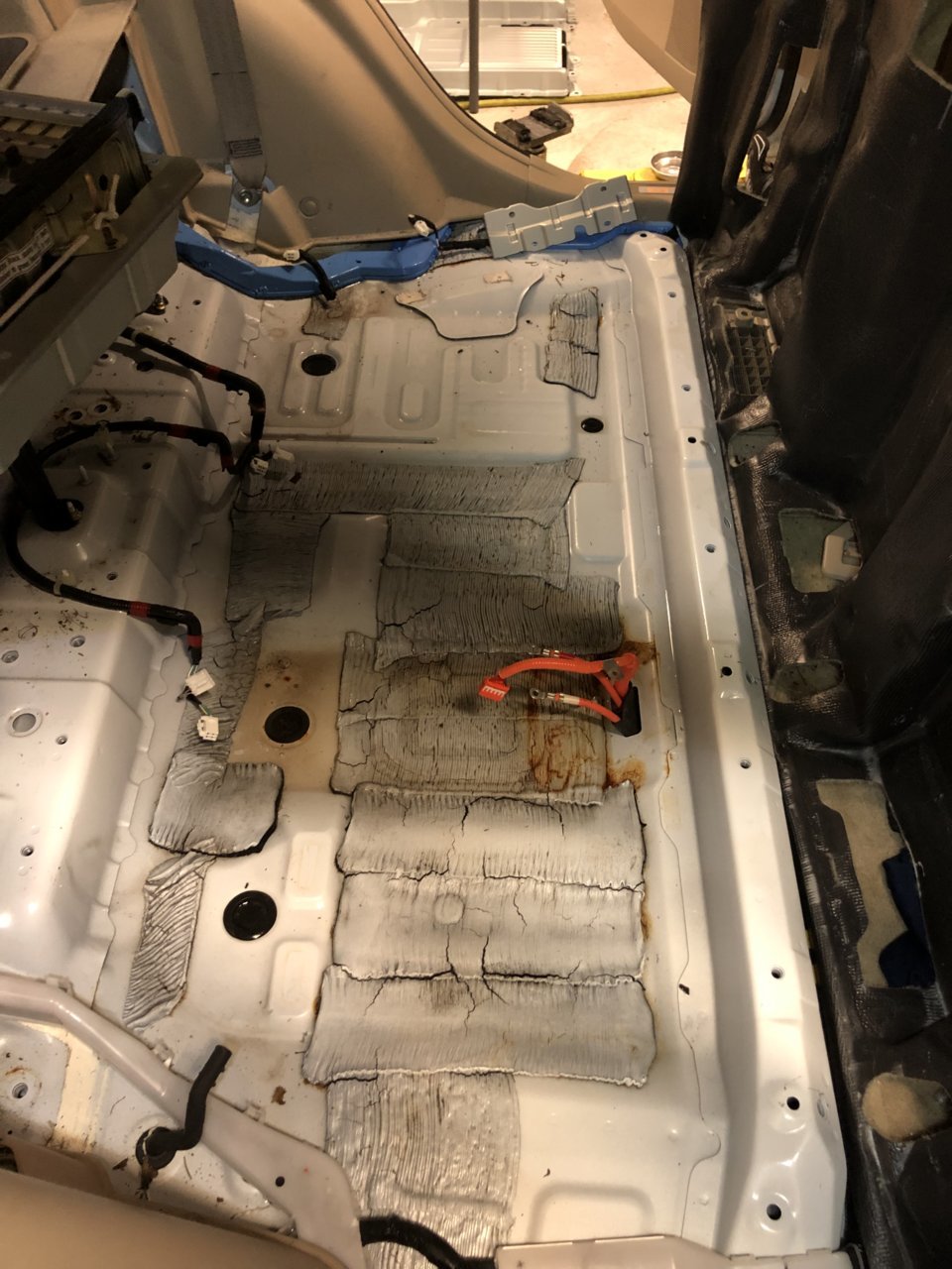 E251CA33-7F53-40BF-A382-556A2E7A8BE4.jpg