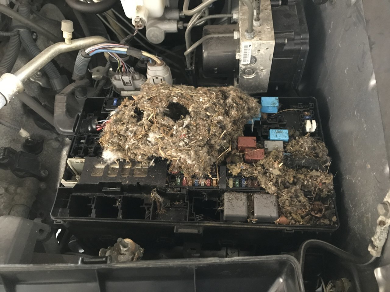 E28515CF-EC04-4DB0-9F6F-3B063C8E3F8C.jpg