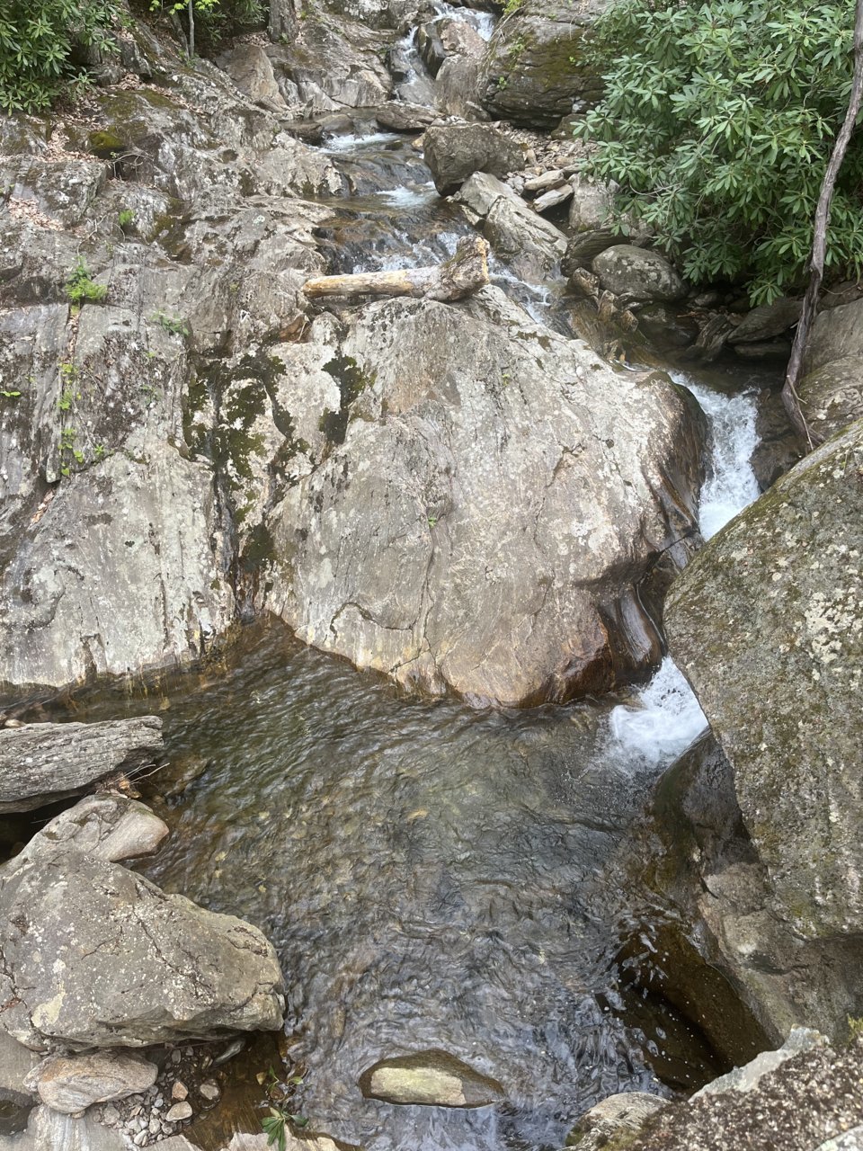 E30A5C7C-1F5F-4F70-ADC2-FD88F3056830.jpg