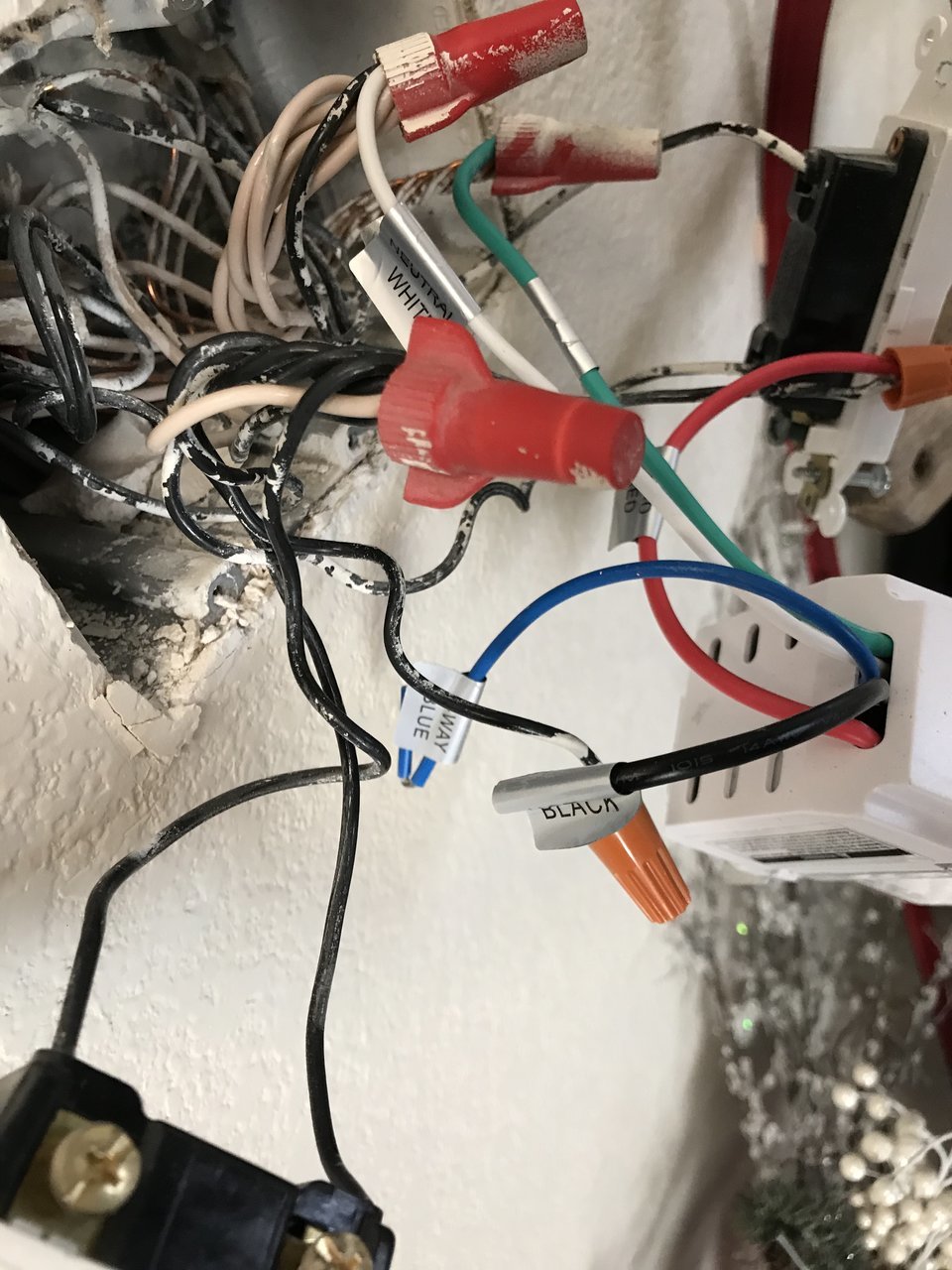 E32B2AB0-21CA-48C2-9701-BCF0B484C8E5.jpg