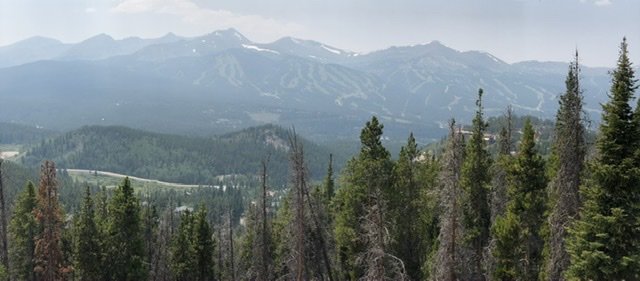 E37CA82E-E5AA-42C1-9EF5-8E3E0758F2FB.jpg