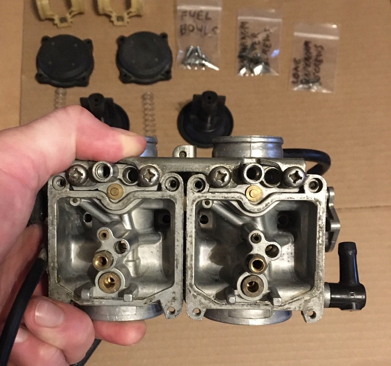 E443A208-A3C2-419D-A210-397C9FD3C0D2.jpg