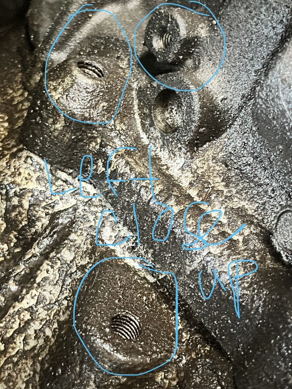 E4782DF4-E640-46CC-83BE-A48CA7D414DA.jpg