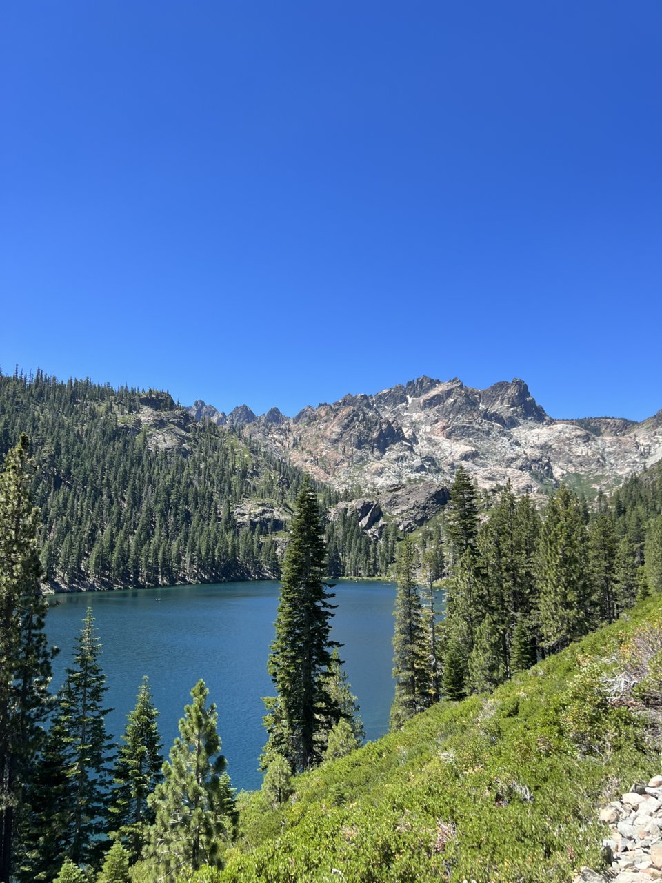 E4960585-17AA-4C12-AD0C-ED18047B0D81.jpg