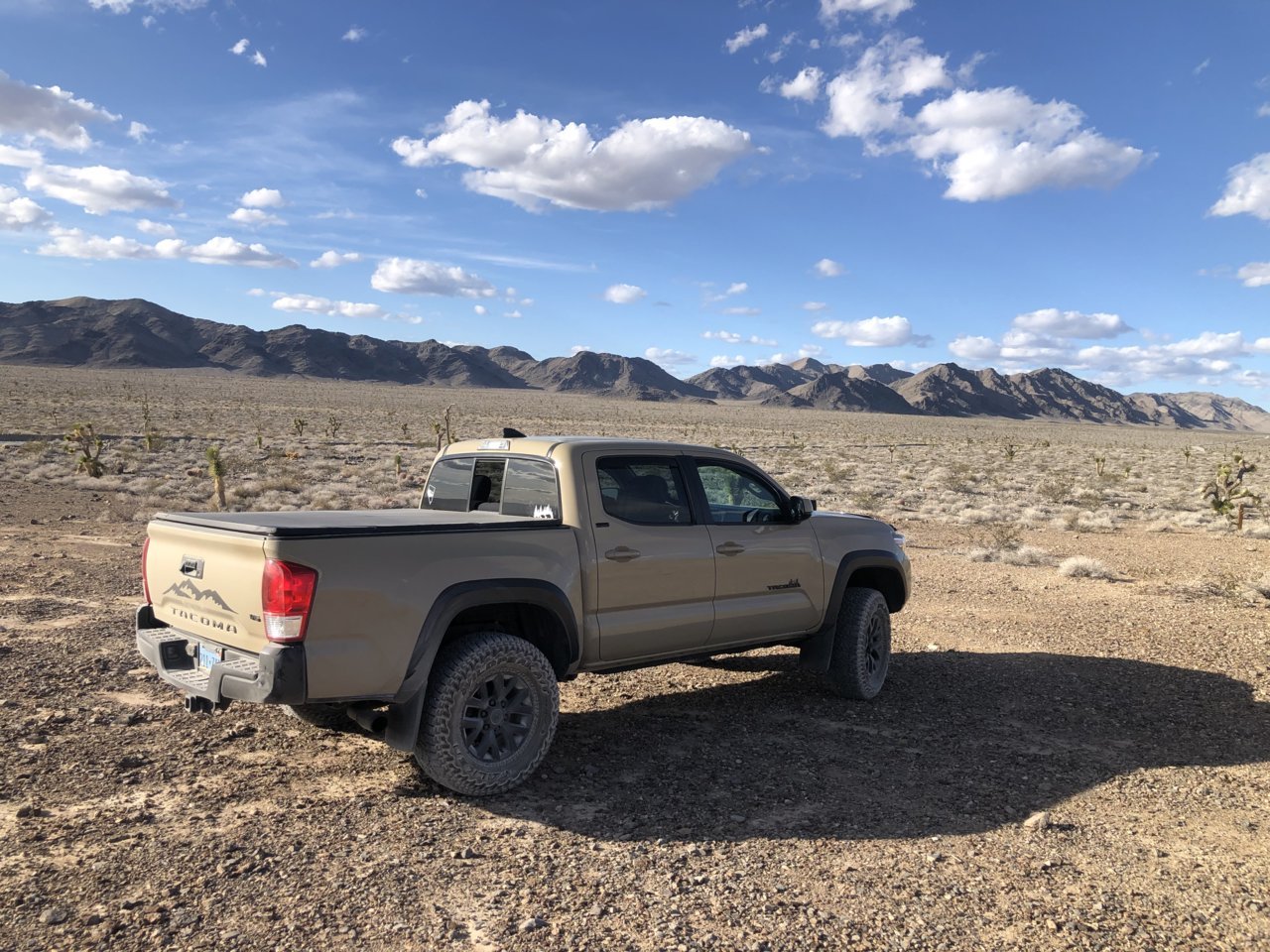 E4A81AE4-5F2F-450B-8F96-7A0F865D57F4.jpg
