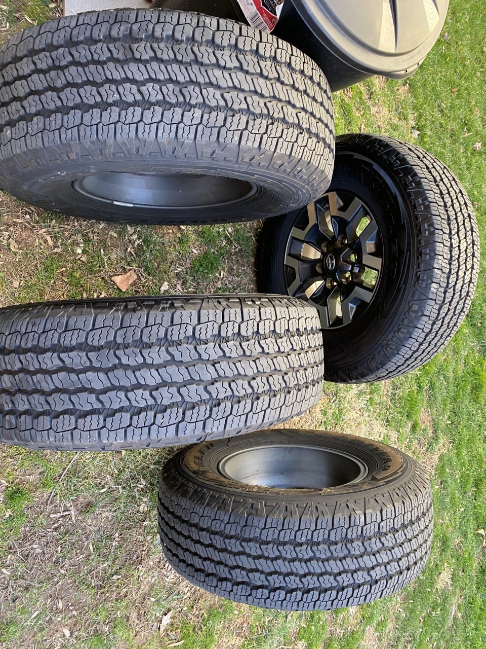 E4AE8FA2-0F43-4787-99D3-73CA902FB683.jpg