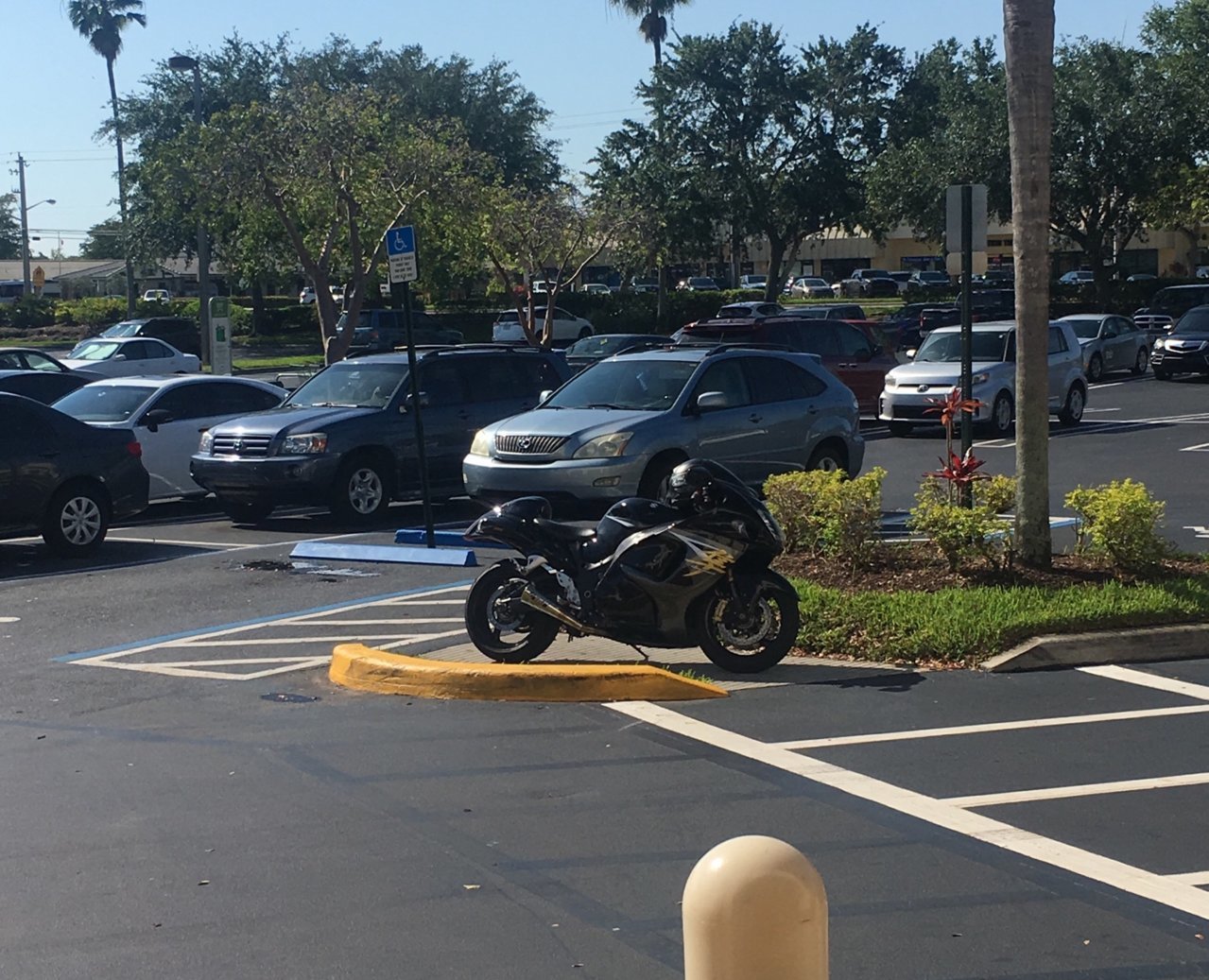 E4B16F09-F834-4965-85EE-6FBE4D036C44.jpg