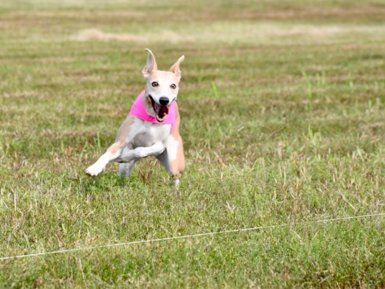 E4FB2DEE-6E2D-4297-A3AC-33859EB8A2F9.jpg
