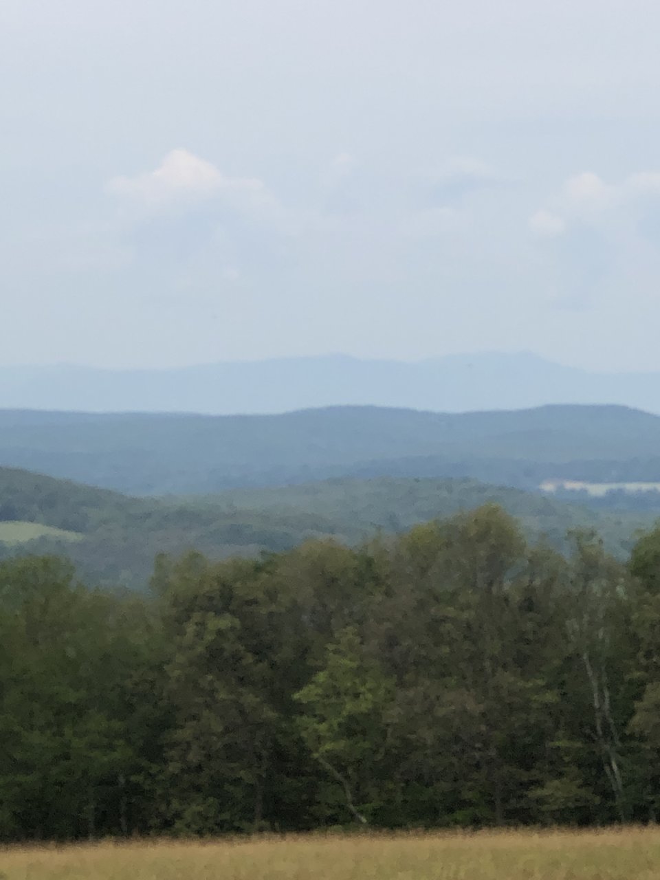 E50C0F40-8C56-4D7B-8927-057E35BB209F.jpg