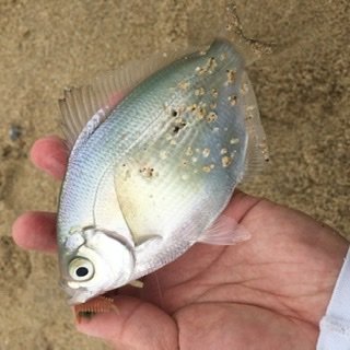 E58B5926-B08F-4458-84F6-50C18AB4CBF8.jpg
