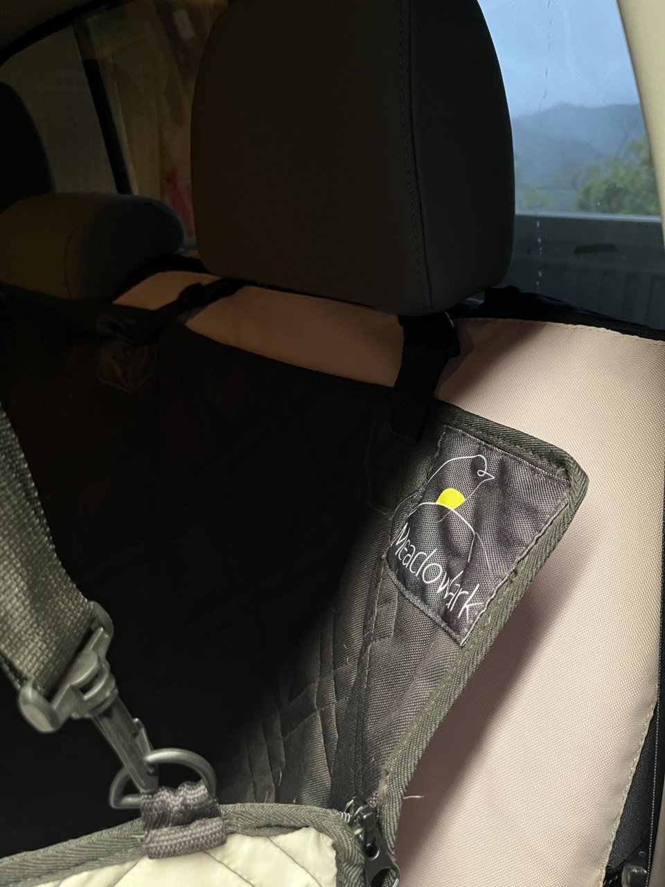 E59BB7AB-8BAD-4CB8-AFA2-4878322E6259.jpg