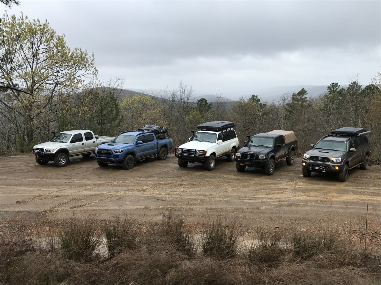 E62500D4-0B7C-438A-85C2-FD9C8FDE0E40.jpg