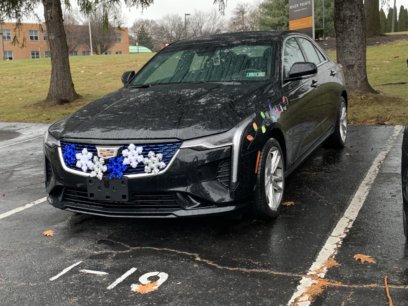 E62FD3F4-73A9-410C-829E-1762AAB8AF52.jpg