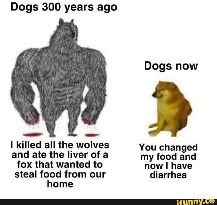 e66035e4c6ecf83102cd50c07f36a8f7692e92df7f2728ebb89261a146c4e6b0_1.jpg