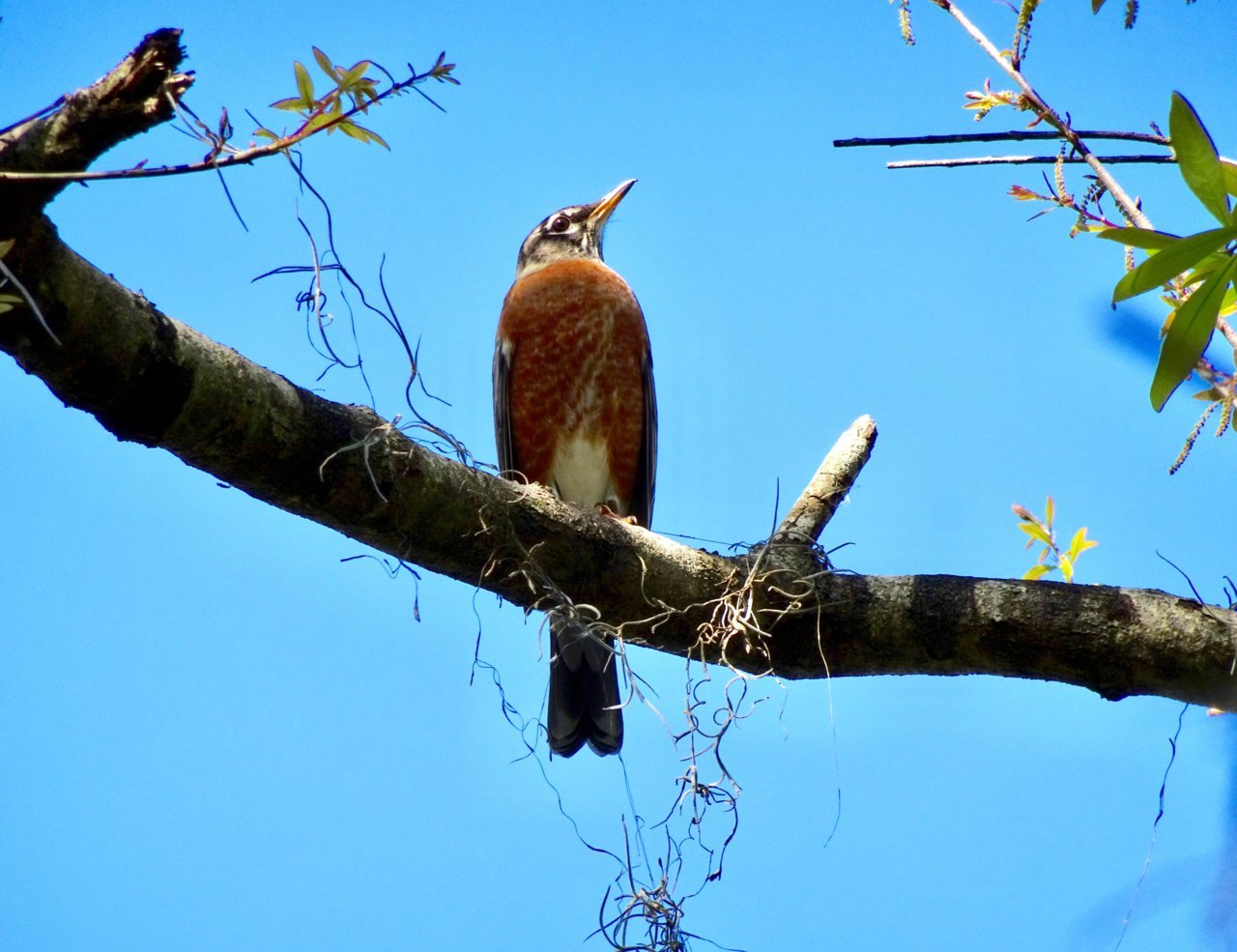E6CF1ADB-AD34-4CF3-AE68-335446B2CAA1.jpg
