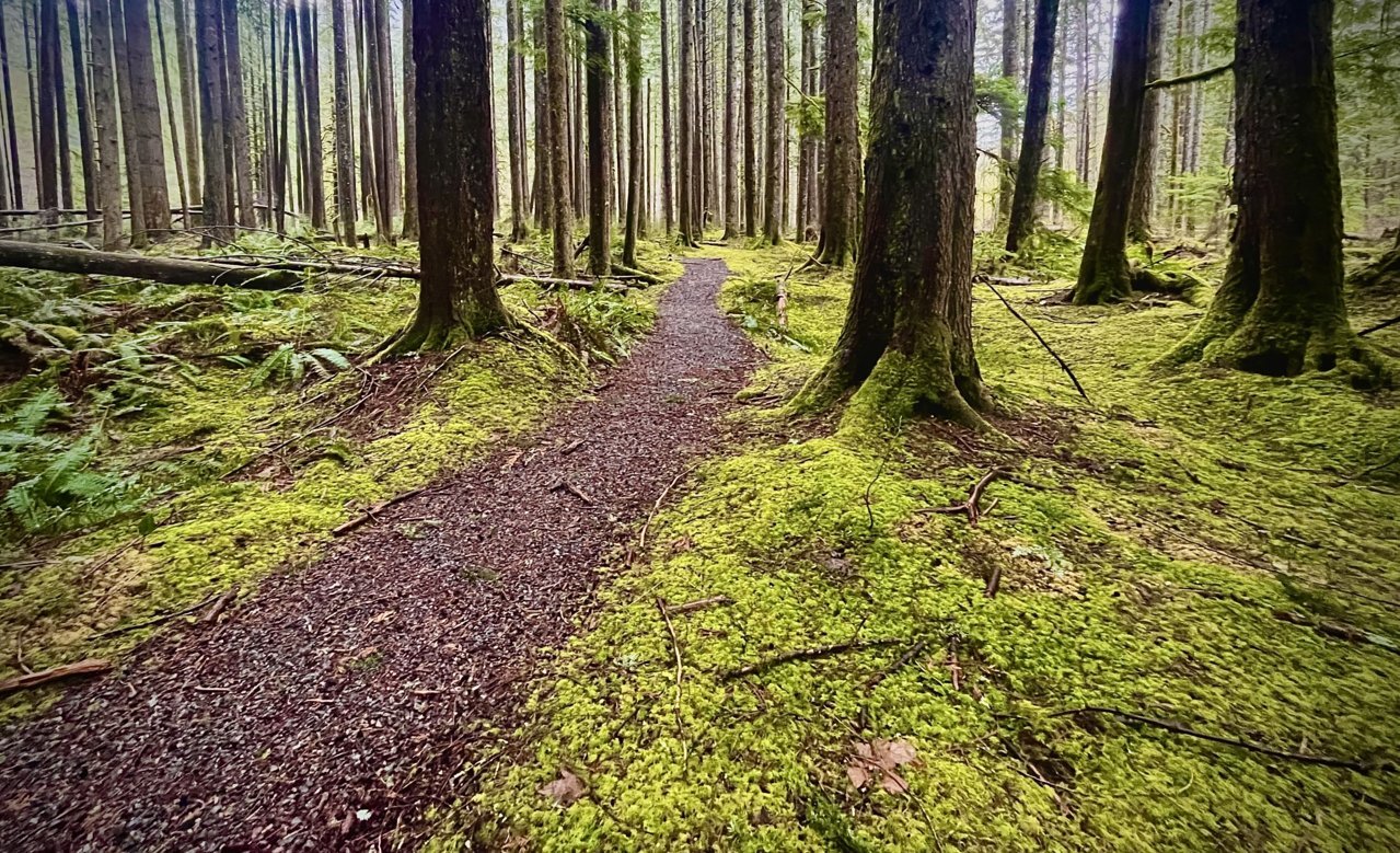 E741948A-E4C2-4566-B5FE-64696D23AB0D.jpg