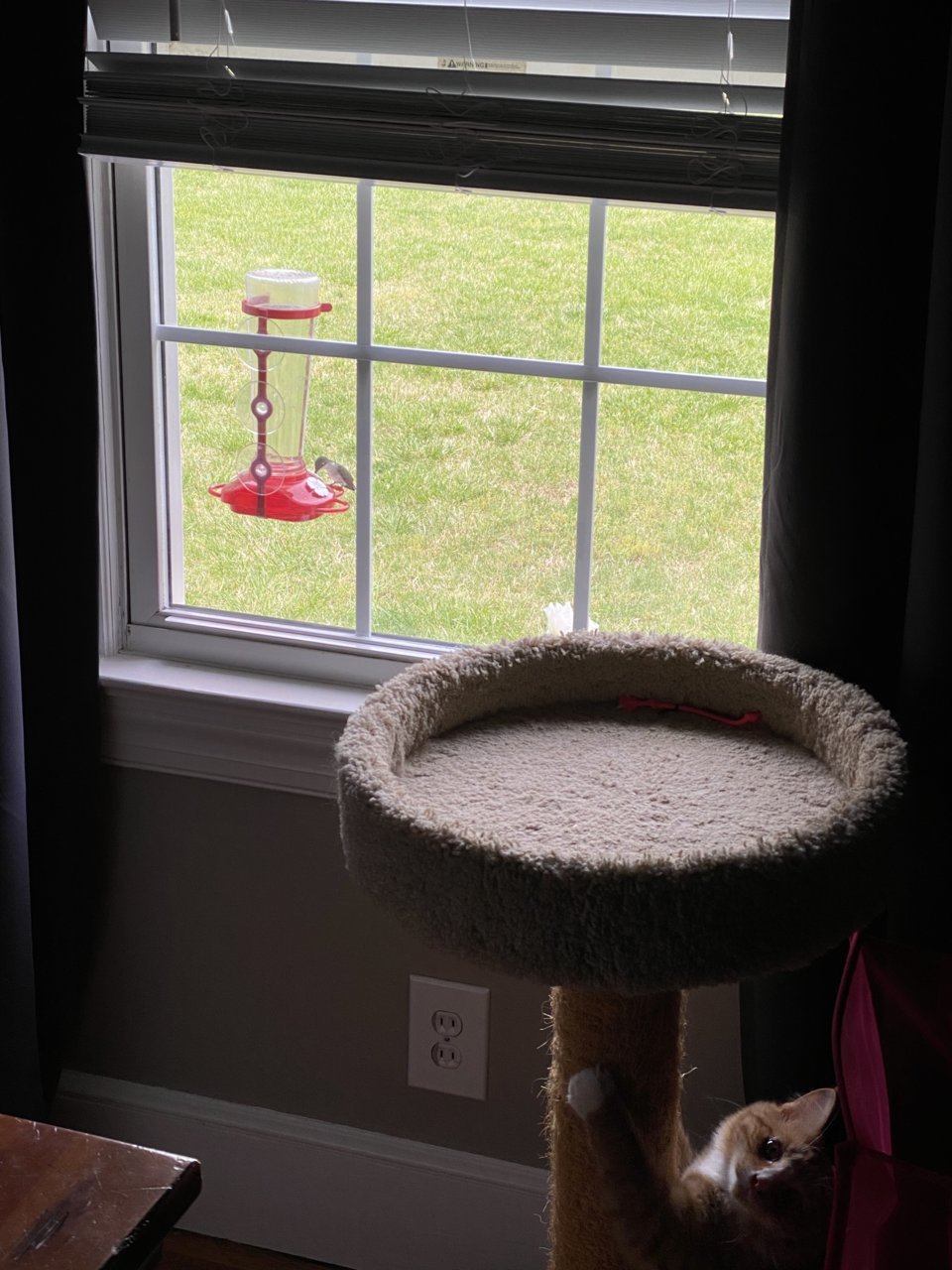 E758609E-22E1-499C-9DDE-5F1A854AE7EF.jpg