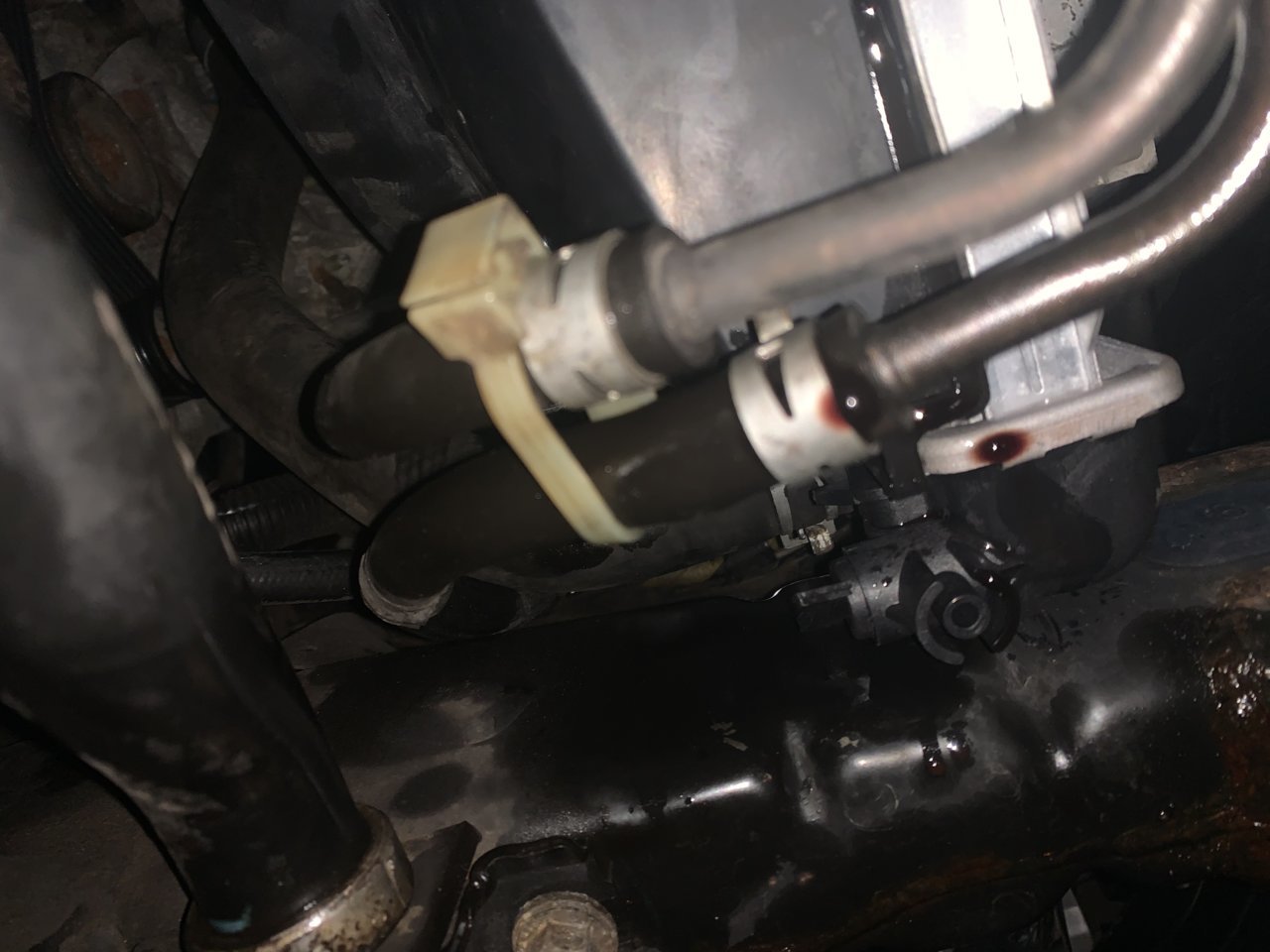 E83EF4CC-3049-4C69-BF73-D2A36B5CF3AB.jpg
