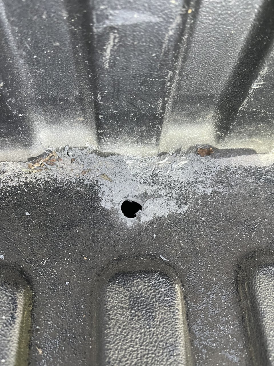 E8595BD5-E409-4761-84D1-C57498FD5BF1.jpg