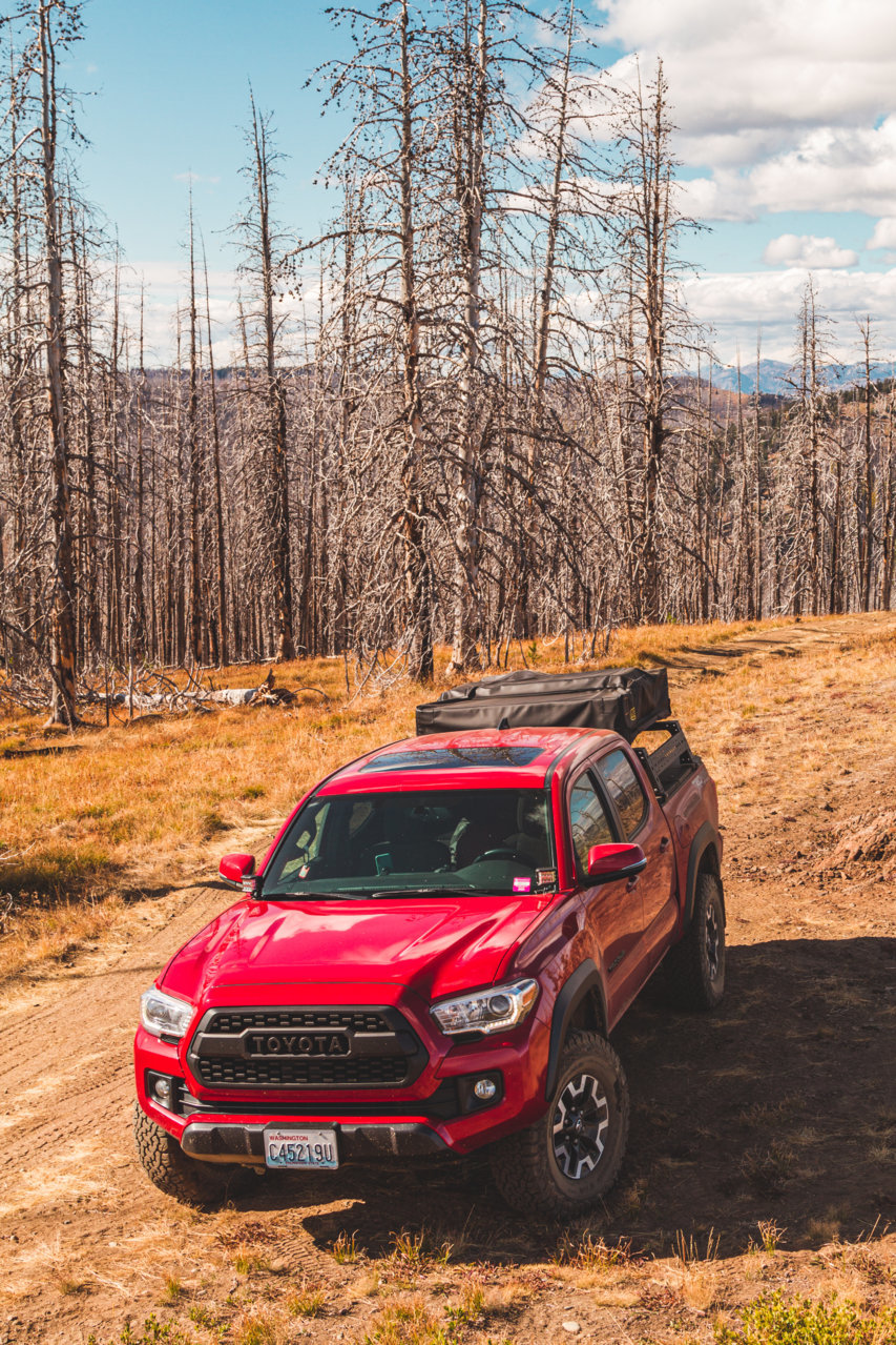 E859C743-50C4-43DF-B7F4-080E796AC0F9.jpg