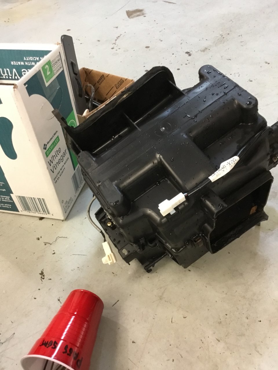 E890BBDA-2EA5-4D21-B802-F3C58B67BF81.jpg
