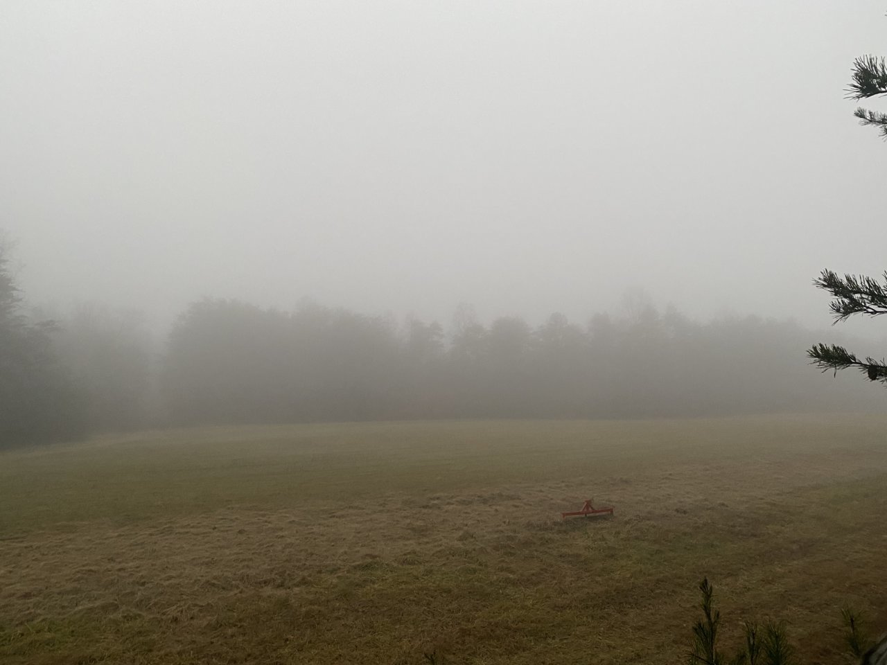 E8961A70-DB77-4C4C-8502-E632E013BF1C.jpg