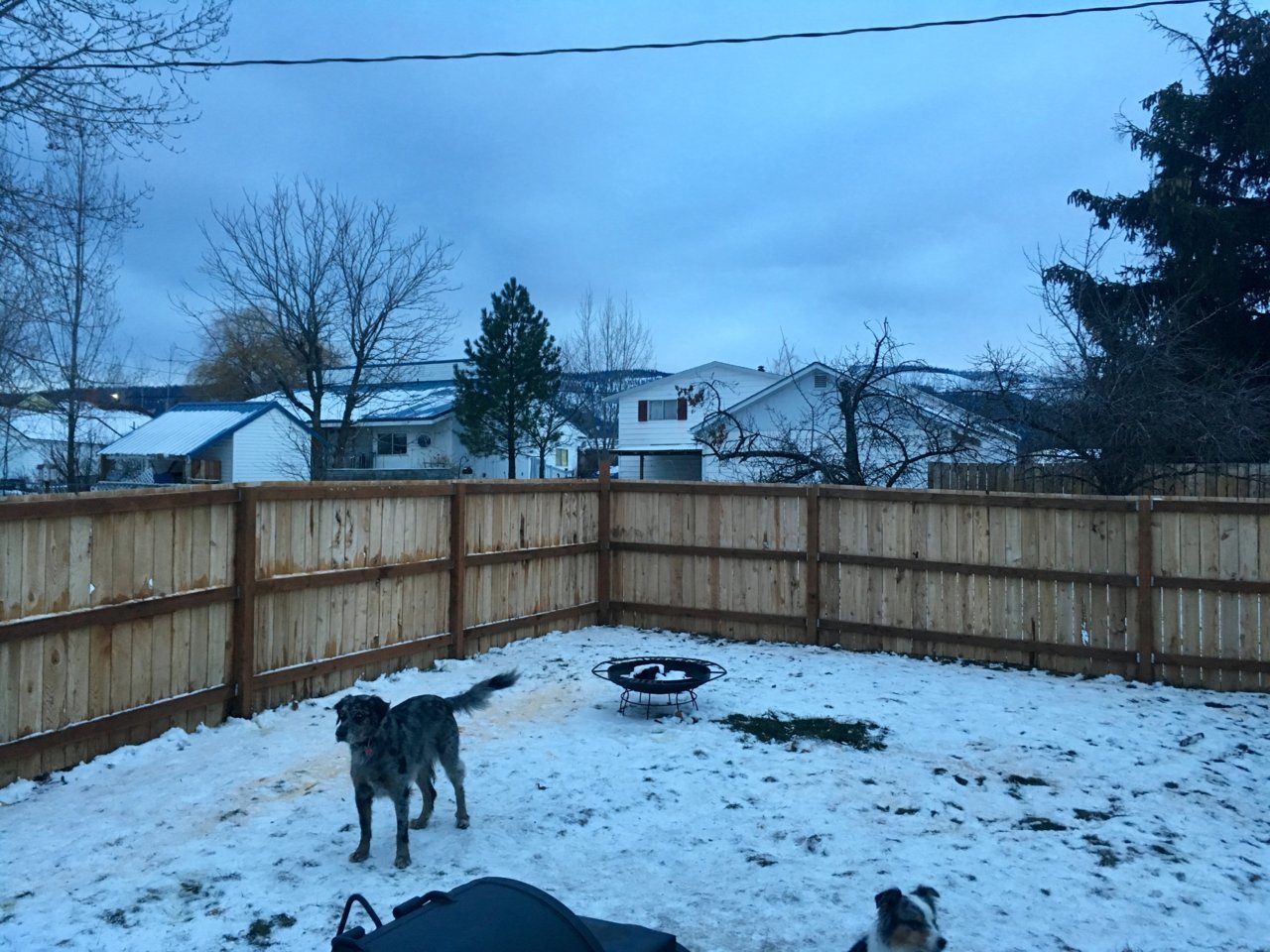 E8B3A244-7649-4035-9C8A-DF08DBF93A1A.jpg