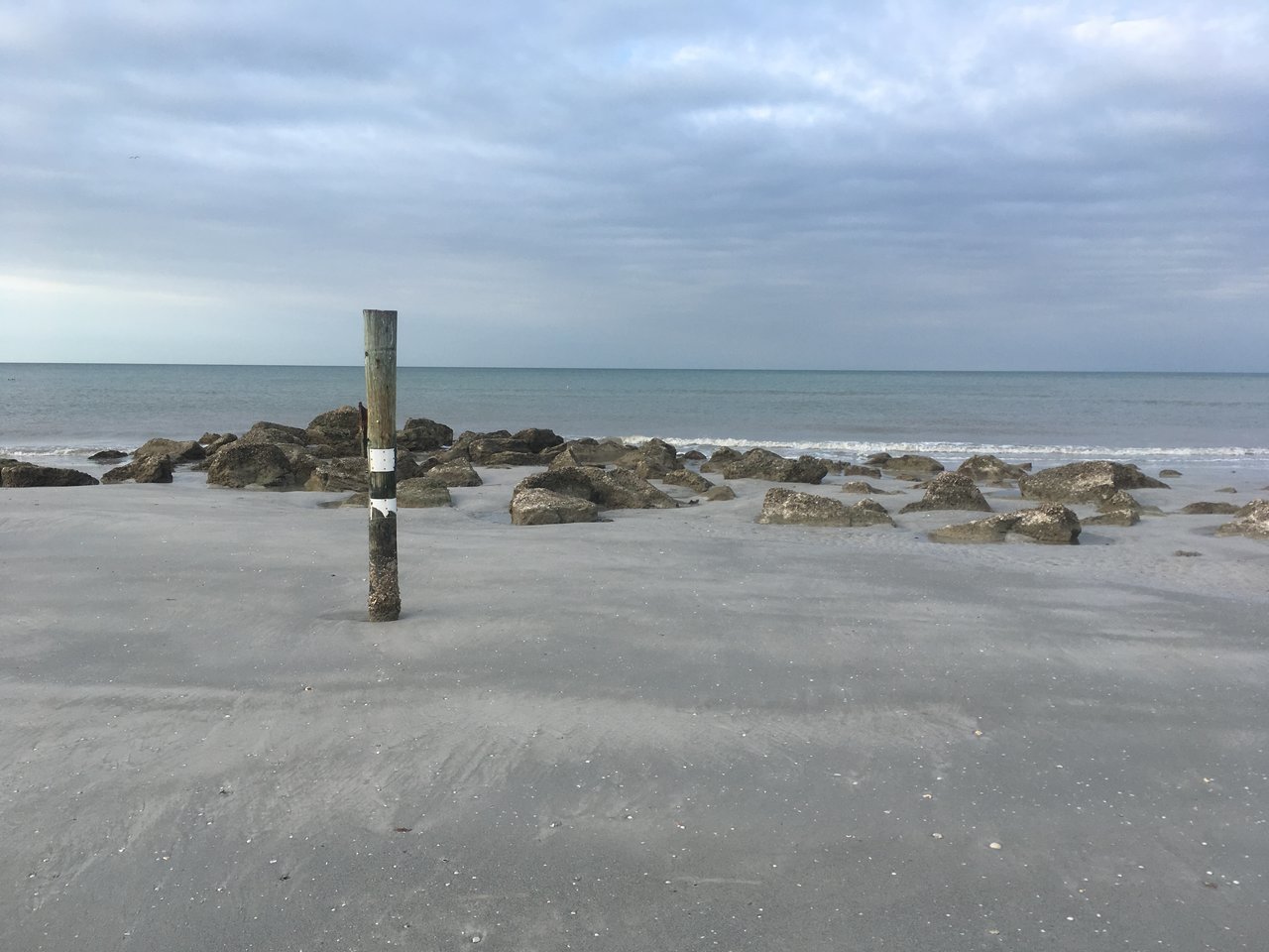 E8BEFBFF-2815-4FCB-98CF-02E66C32B0A5.jpg