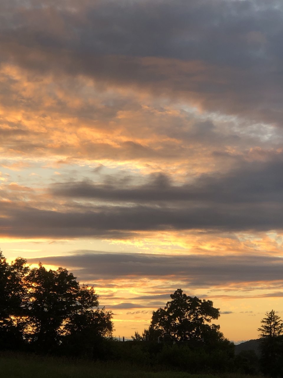 E957551C-A81E-45C6-BE79-D9BBCCF3BCA5.jpg