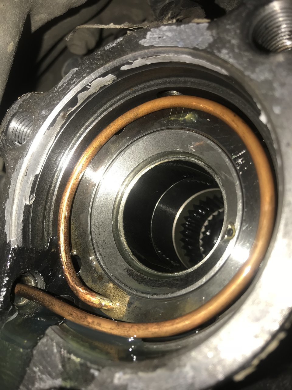 E9E2799E-6DC7-4D28-BDF3-58879519D6E7.jpg