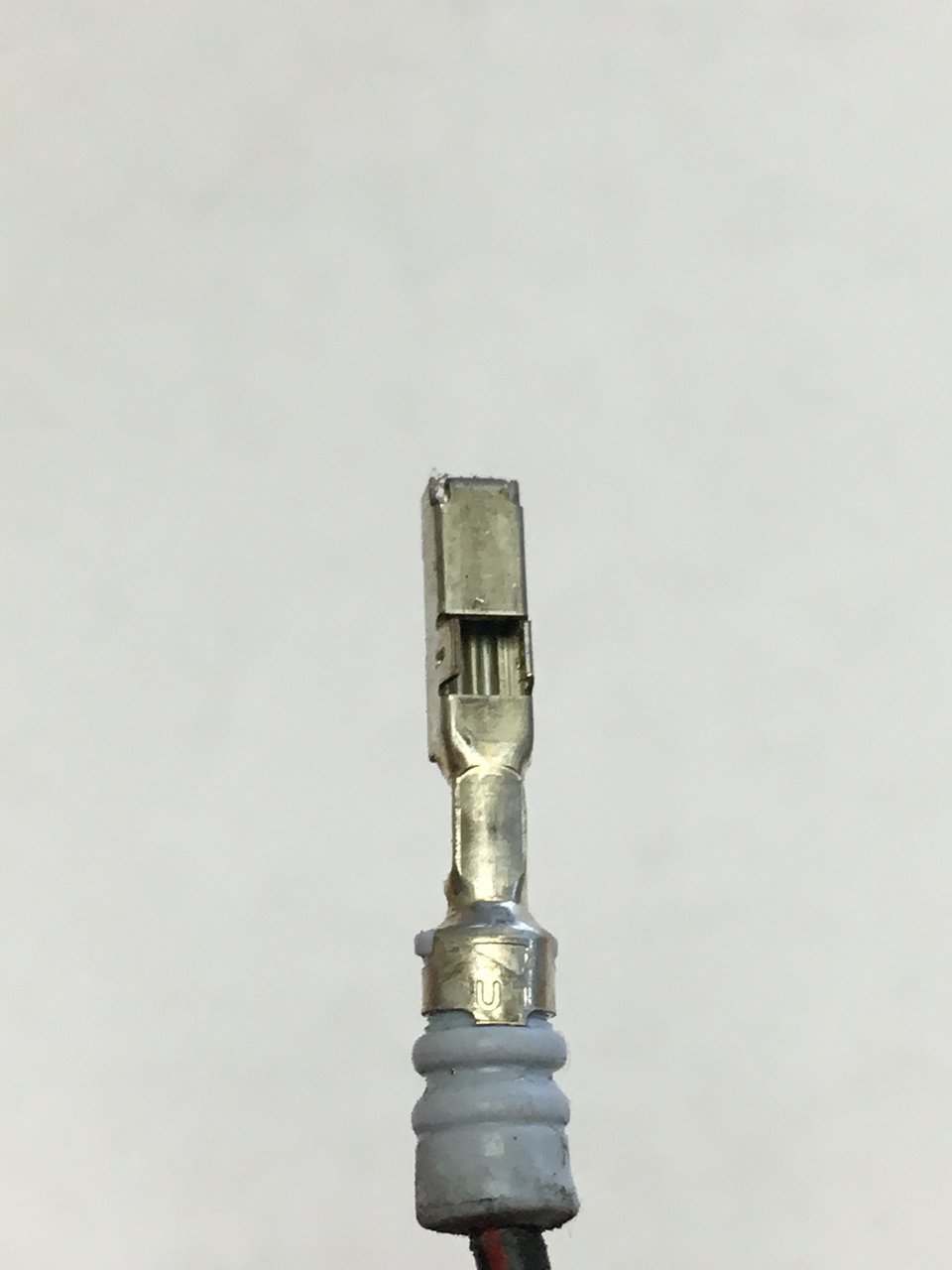EA9954B2-E365-4206-83E0-AB932A45B956.jpg