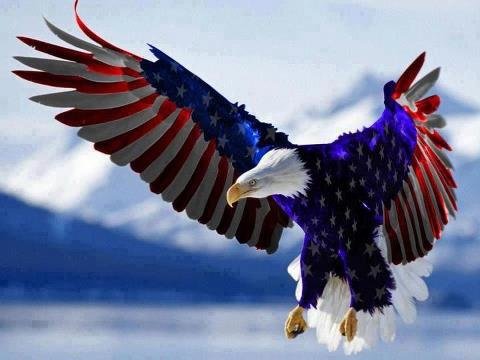 Eagle.jpg