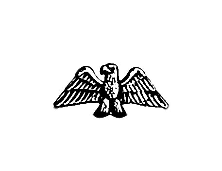 eagle stencil.jpg