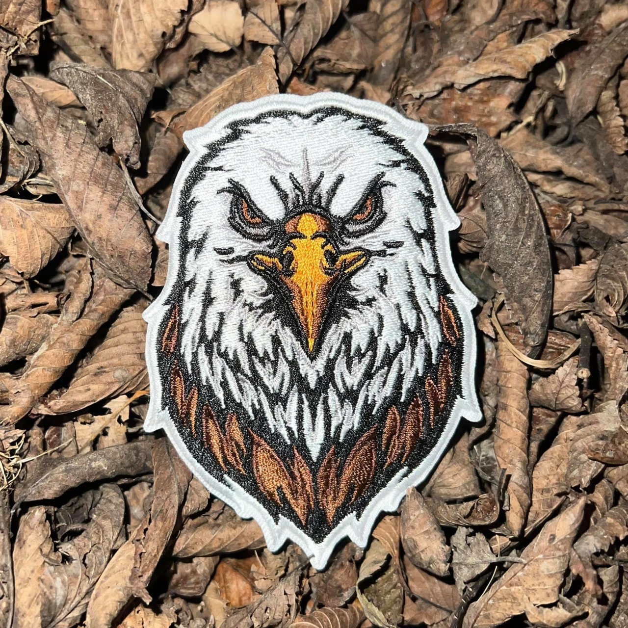 eagle1.jpg