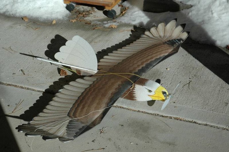 Eagle_0001sm.jpg
