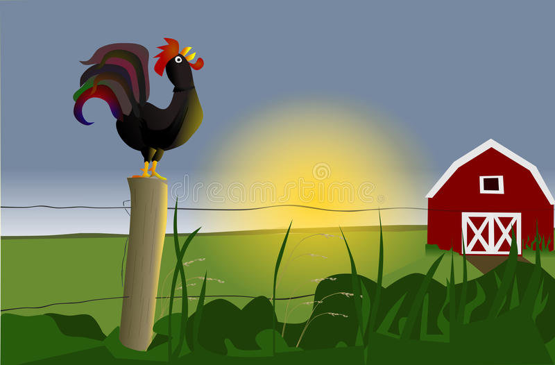 early-morning-rooster-sunrise-red-barn-farmhouse-46311430.jpg