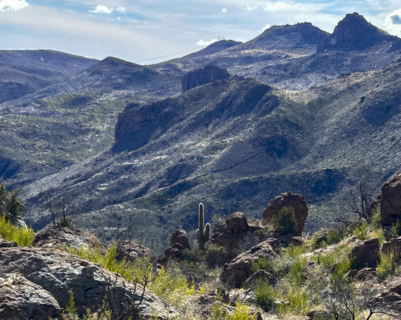 East of Oak Flat Canyon 2023-02-28-3.jpg