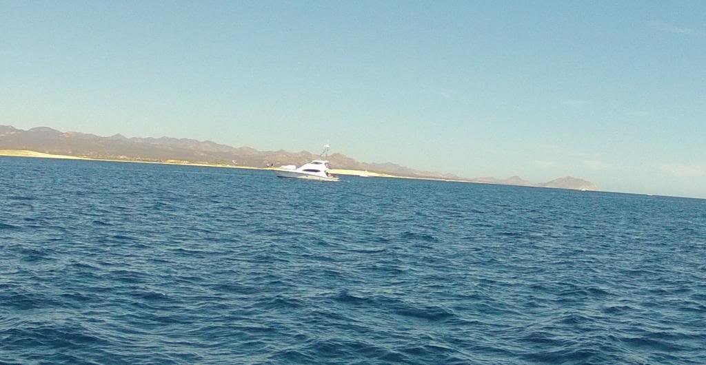 eastcape-boatsfromcabomakingthetrip_1fbbdd24e5dc7918e3f87005603351a7443f6ce5.jpg