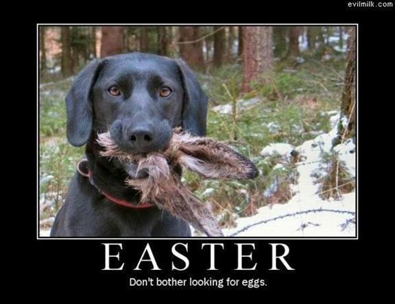 Easter_929ecceebee095a494b5f576a389c7c2d3050839.jpg