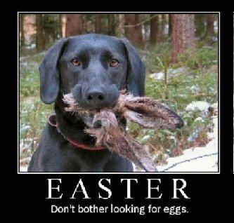 easter_dog.jpg