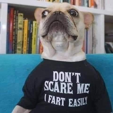 easy farts.jpg
