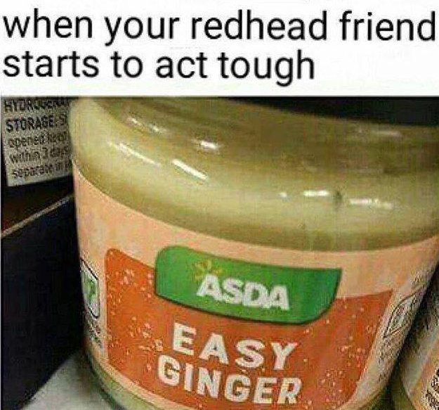 easy-ginger-meme.jpg